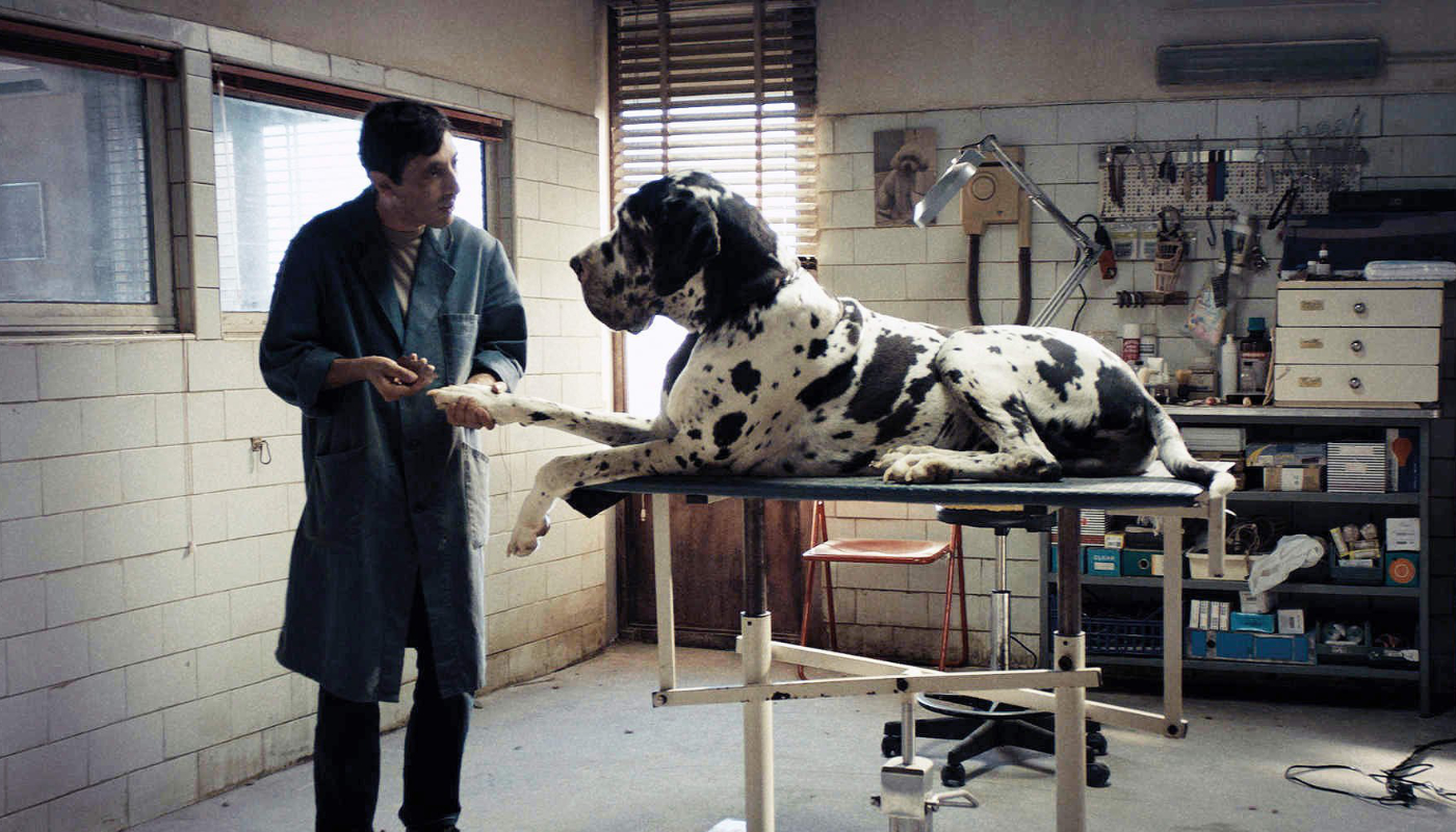 Still elokuvasta Dogman.
